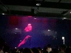 -芜湖新华联大白鲸海洋公园