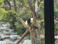 -宁波野生动物园