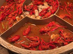 -上海锦江汤臣洲际大酒店壹阶层