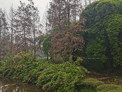 -重庆彩云湖湿地公园