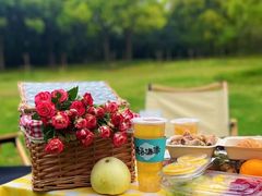 -上海吴淞炮台湾国家湿地公园