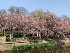 -海棠花溪(元大都城垣遗址公园)