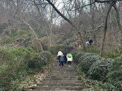 -南京市江宁方山