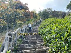 -梧桐山风景名胜区