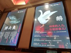 -山河屯铁锅炖(哈西站店)