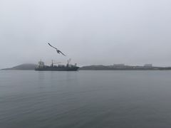 -海驴岛(荣成市)