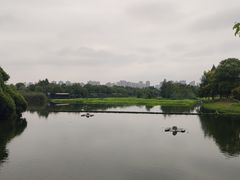 -洋湖国家湿地公园