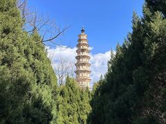 -崇圣寺三塔文化旅游区