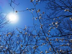 -鹫峰国家森林公园