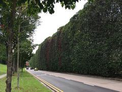 -武吉知马自然保护区