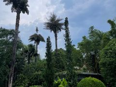 -中国科学院西双版纳热带植物园
