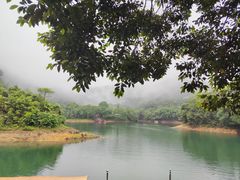 -鼎湖山风景区