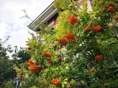 -金石唐风国际温泉会馆