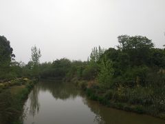 -白鹭湾湿地公园