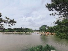 -通辽森林公园