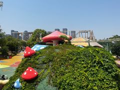 -合肥融创乐园