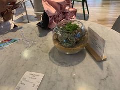 -宝珠奶酪(浦东金桥店)