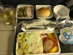 -新加坡航空公司(ION)