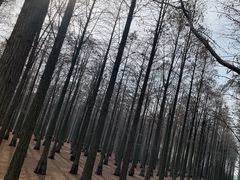 -渌洋湖湿地公园