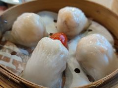 金牌虾饺皇-点都德(北京路贰店)