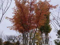 -盘龙城遗址博物院