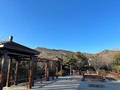 -北京西山国家森林公园