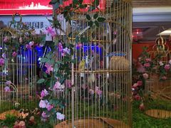 -碧桂园凤凰城酒店(南京店)