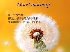 -炎钬堂亚健康管理(白银路店)