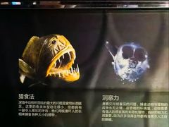 -同济大学四平路校区深海探索馆