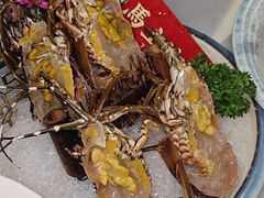-喜聚薈·花膠雞海鮮火鍋(越秀店)