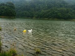 android_upload_pic-广州市石门国家森林公园
