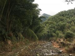 -鹿亭中村