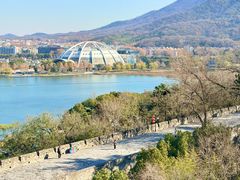 -九华山公园
