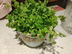 -牛村来人潮汕牛肉火锅(西单店)