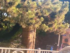 -青岛海底世界-水族馆