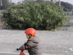 -趣动熊运动发展中心(乐坊校区)