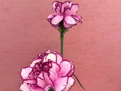 -国际大厦谭家官府菜(中山路店)