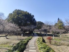 -白马涧龙池景区
