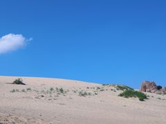 -玉龙沙湖景区
