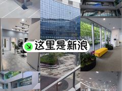 -新浪总部大厦