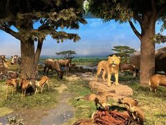 -国家自然博物馆