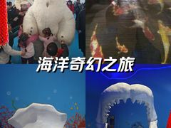 -泉城欧乐堡海洋极地世界