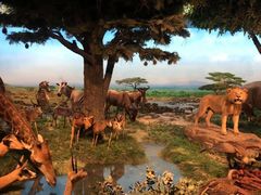 -国家自然博物馆