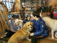 -萌喵咖啡屋(人民东路4号口M16商铺店)