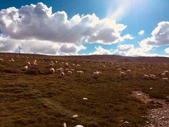 -青海湖国家重点风景名胜区