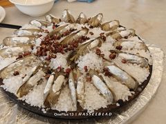 -华盛丰温州大排档(东三环南路店)