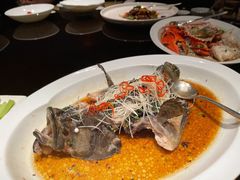 榄角蒸老虎斑-上海苏宁宝丽嘉酒店·嘉府壹号中餐厅