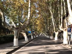 -T80科技文化国际社区-停车场