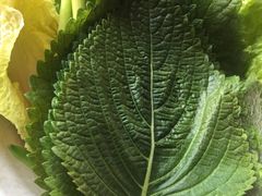 -朴大人炭烤·韩国料理(奥帆中心海尔洲际店)