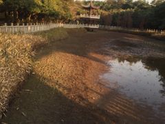 -福神岗公园